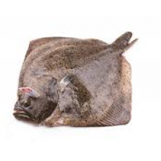 Камбала Тюрбо